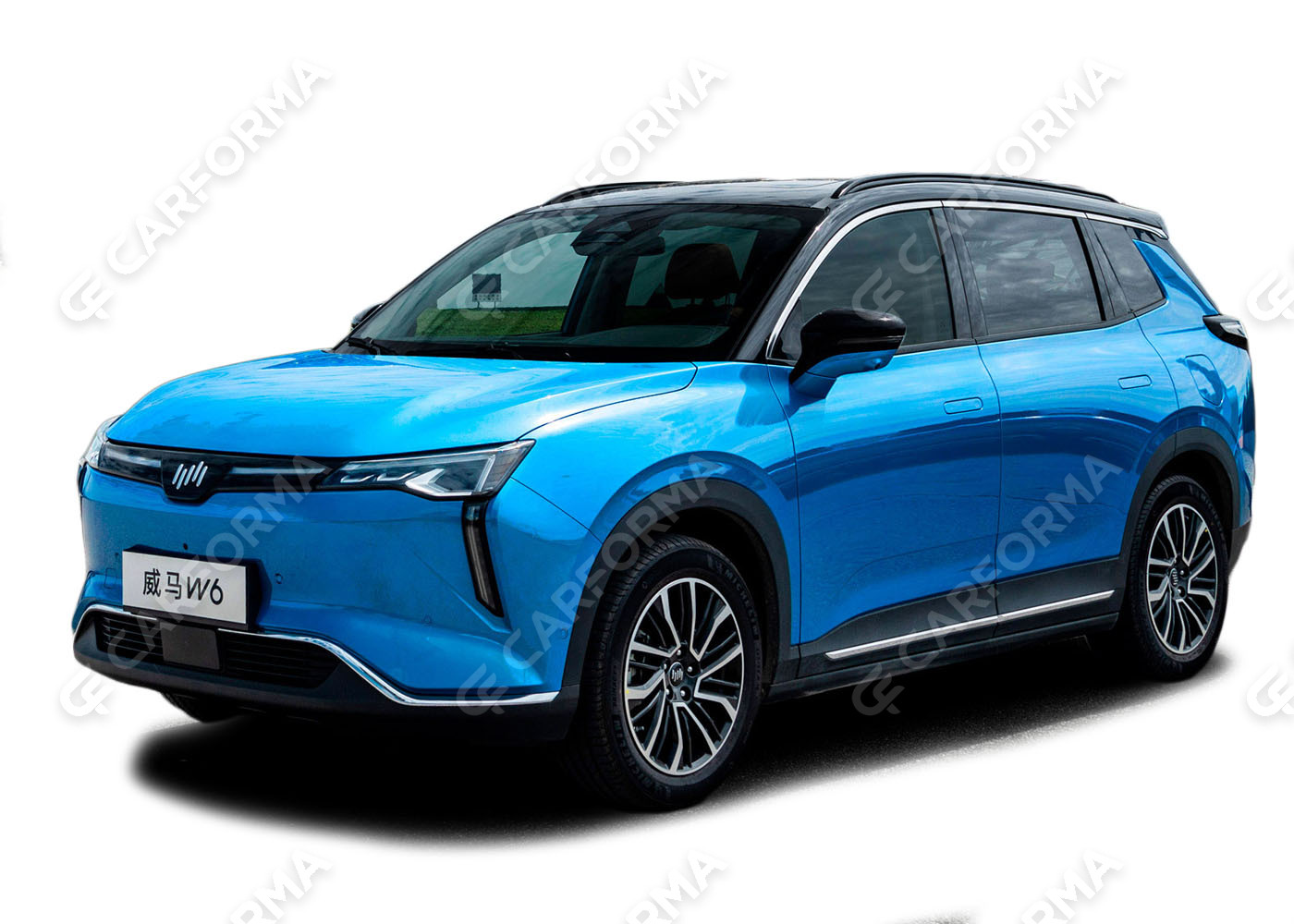 Коврики на Weltmeister W6 2021&nbsp;-&nbsp;2022