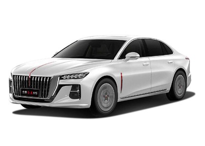 Коврики на Hongqi H5 II 2022 - 2025 в Омске