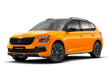 Ворсовые коврики на Skoda Kamiq (Европа) 2019&nbsp;-&nbsp;2026 в Омске