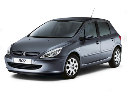 Коврики на Peugeot 307 2001 - 2008 в Омске
