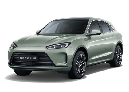 Ворсовые коврики на Seres M5 2021 - 2025 в Омске