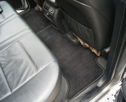 EVA коврики на BMW X5 (E53) 1999 - 2006 в Омске