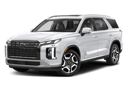 Коврики на Hyundai Palisade 2018 - 2025 в Омске