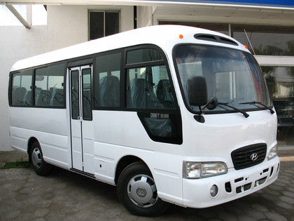 Коврики на Hyundai County 2006 - 2016 в Омске