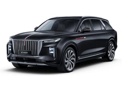 Коврики на Hongqi E-HS9 2022 - 2025 в Омске