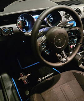 Ворсовые коврики на Ford Mustang VI 2013 - 2023 в Омске Ворсовые коврики на Ford Mustang VI 2013 - 2023 в Омске