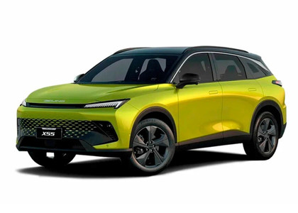 Коврики на Baic X55 2022 - 2025 в Омске