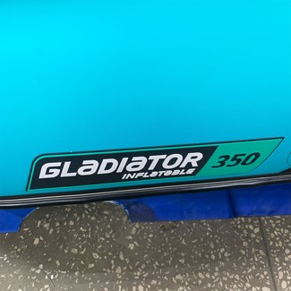 Коврики на Лодки Gladiator E350S  в Омске