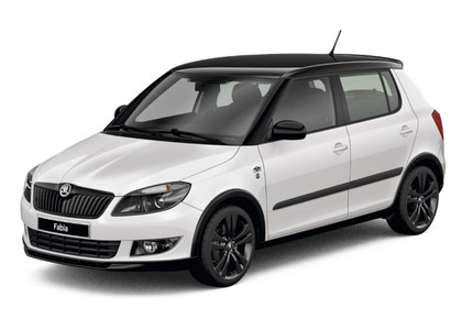 Коврики на Skoda Fabia II 2007 - 2015 в Омске