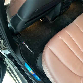 Коврики на BMW X5 (G05/G18) 2018 - 2025 в Омске