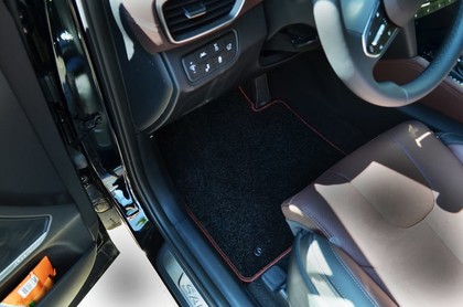Коврики на Hyundai Santa Fe IV 2018 - 2021 в Омске