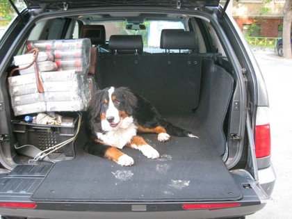 EVA коврики на BMW X5 (E53) 1999 - 2006 в Омске